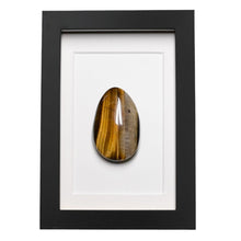 Load image into Gallery viewer, Tijgeroog in Lijst - BraShiDa Gallery | Art from Mother Nature