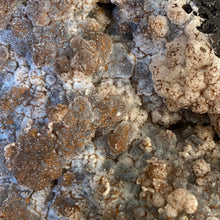 Afbeelding in Gallery-weergave laden, Agaat op marmer voet - BraShiDa Gallery | Art from Mother Nature