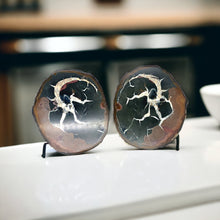 Afbeelding in Gallery-weergave laden, Septarie dragonstone | 02 - BraShiDa Gallery | Art from Mother Nature