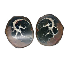 Afbeelding in Gallery-weergave laden, Septarie dragonstone | 02 - BraShiDa Gallery | Art from Mother Nature