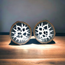 Afbeelding in Gallery-weergave laden, Septarie dragonstone | 05 - BraShiDa Gallery | Art from Mother Nature