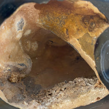 Afbeelding in Gallery-weergave laden, Agaat Geode - BraShiDa Gallery | Art from Mother Nature
