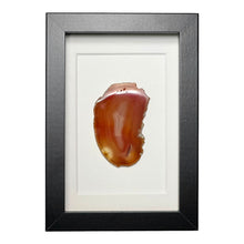 Load image into Gallery viewer, Agaat in lijst #1 - BraShiDa Gallery | Art from Mother Nature
