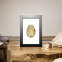 Load image into Gallery viewer, Agaat in lijst #5 - BraShiDa Gallery | Art from Mother Nature
