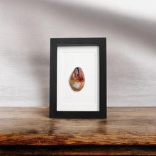 Afbeelding in Gallery-weergave laden, Agaat in lijst #7 - BraShiDa Gallery | Art from Mother Nature
