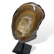Load image into Gallery viewer, Agaat op standaard - BraShiDa Gallery | Art from Mother Nature
