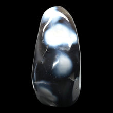 Load image into Gallery viewer, Agaat Orca - BraShiDa Gallery | Art from Mother Nature
