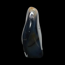 Load image into Gallery viewer, Agaat Orca - BraShiDa Gallery | Art from Mother Nature
