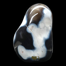 Load image into Gallery viewer, Agaat Orca - BraShiDa Gallery | Art from Mother Nature
