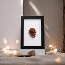 Load image into Gallery viewer, Aragoniet in lijst - BraShiDa Gallery | Art from Mother Nature
