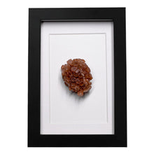 Load image into Gallery viewer, Aragoniet in lijst - BraShiDa Gallery | Art from Mother Nature
