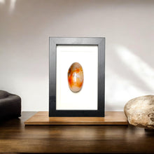 Load image into Gallery viewer, Carneool in lijst #1 - BraShiDa Gallery | Art from Mother Nature
