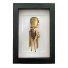 Load image into Gallery viewer, Robijn in lijst | Mutiara Collection - BraShiDa Gallery | Art from Mother Nature

