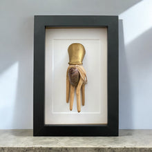 Load image into Gallery viewer, Robijn in lijst | Mutiara Collection - BraShiDa Gallery | Art from Mother Nature
