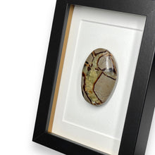 Load image into Gallery viewer, Septarie in lijst - BraShiDa Gallery | Art from Mother Nature
