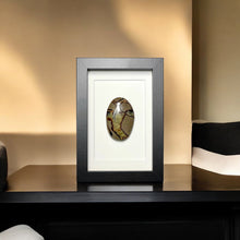 Load image into Gallery viewer, Septarie in lijst - BraShiDa Gallery | Art from Mother Nature
