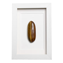 Load image into Gallery viewer, Tijgeroog in Lijst #1 - BraShiDa Gallery | Art from Mother Nature
