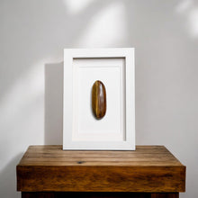 Load image into Gallery viewer, Tijgeroog in Lijst #1 - BraShiDa Gallery | Art from Mother Nature
