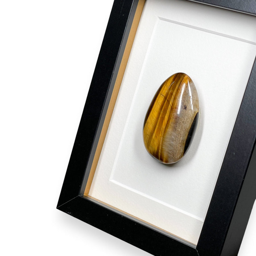 Tijgeroog in Lijst - BraShiDa Gallery | Art from Mother Nature