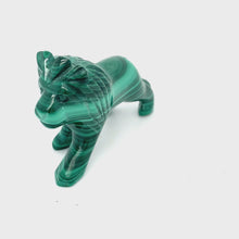 Load and play video in Gallery viewer, Malachite Lion
