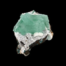 Afbeelding in Gallery-weergave laden, Apophylite - BraShiDa Gallery | Art from Mother Nature
