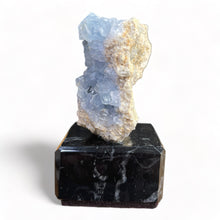 Load image into Gallery viewer, Celestien Treasures - #1 - BraShiDa Gallery | Art from Mother Nature
