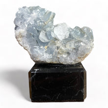 Load image into Gallery viewer, Celestien Treasures - #3 - BraShiDa Gallery | Art from Mother Nature
