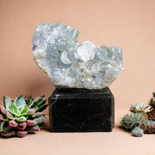 Load image into Gallery viewer, Celestien Treasures - #3 - BraShiDa Gallery | Art from Mother Nature
