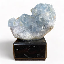 Load image into Gallery viewer, Celestien Treasures - #3 - BraShiDa Gallery | Art from Mother Nature
