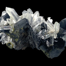 Load image into Gallery viewer, Epidoot met kwarts - BraShiDa Gallery | Art from Mother Nature
