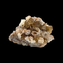 Load image into Gallery viewer, Fluoriet met Bariet - BraShiDa Gallery | Art from Mother Nature
