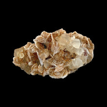 Load image into Gallery viewer, Fluoriet met Bariet - BraShiDa Gallery | Art from Mother Nature
