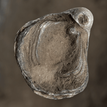 Load image into Gallery viewer, Fossiele oester | Gryphaea Dilatata 1 - BraShiDa | Stone Gallery
