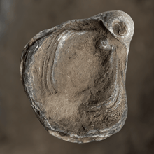 Afbeelding in Gallery-weergave laden, Fossiele oester | Gryphaea Dilatata 1 - BraShiDa | Stone Gallery
