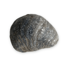 Afbeelding in Gallery-weergave laden, Oester fossiel | Gryphaea Dilatata 1 - BraShiDa | Stone Gallery
