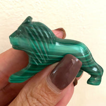 Load image into Gallery viewer, Malachiet Leeuw - BraShiDa | Stone Gallery

