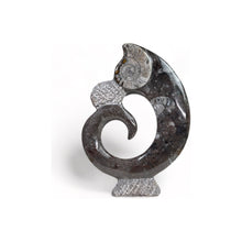 Load image into Gallery viewer, Orthoceras en Goniatite - BraShiDa | Stone Gallery
