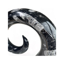 Afbeelding in Gallery-weergave laden, Orthoceras hoorn - BraShiDa | Stone Gallery

