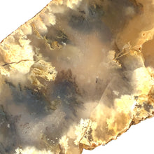 Afbeelding in Gallery-weergave laden, Plume agaat - BraShiDa | Stone Gallery
