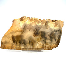 Afbeelding in Gallery-weergave laden, Plume agaat - BraShiDa | Stone Gallery
