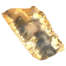 Afbeelding in Gallery-weergave laden, Plume agaat - BraShiDa | Stone Gallery
