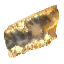Afbeelding in Gallery-weergave laden, Plume agaat - BraShiDa | Stone Gallery
