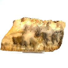 Afbeelding in Gallery-weergave laden, Plume agaat - BraShiDa | Stone Gallery
