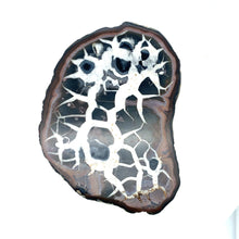 Load image into Gallery viewer, Septarie dragonstone | 01 - BraShiDa Gallery | Art from Mother Nature
