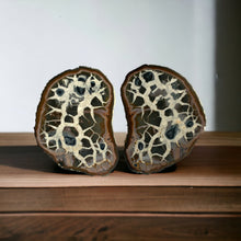 Load image into Gallery viewer, Septarie dragonstone | 01 - BraShiDa Gallery | Art from Mother Nature
