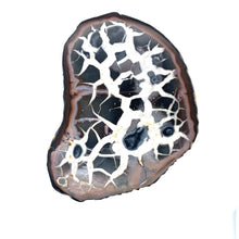 Load image into Gallery viewer, Septarie dragonstone | 01 - BraShiDa Gallery | Art from Mother Nature
