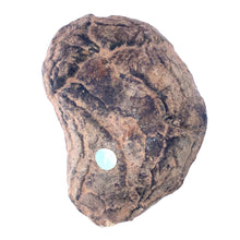 Load image into Gallery viewer, Septarie dragonstone | 01 - BraShiDa Gallery | Art from Mother Nature
