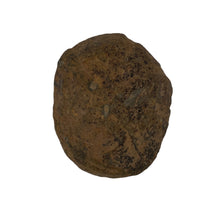 Load image into Gallery viewer, Septarie dragonstone | 03 - BraShiDa Gallery | Art from Mother Nature

