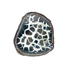 Load image into Gallery viewer, Septarie dragonstone | 06 - BraShiDa Gallery | Art from Mother Nature
