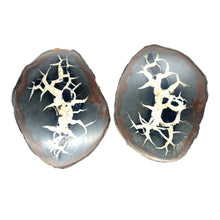 Load image into Gallery viewer, Septarie dragonstone | 07 - BraShiDa Gallery | Art from Mother Nature
